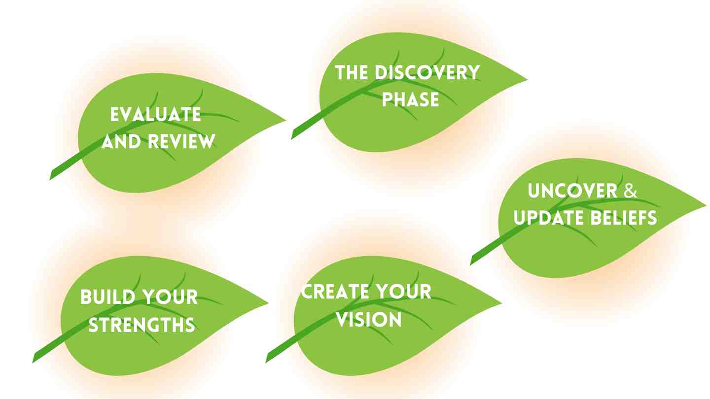 5 step programme